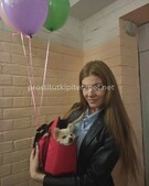 Анкета проститутки Стелла - метро Хамовники, возраст - 26