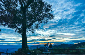 ациональный парк Дойсутхеп-Пуи — одна из самых доступных природных достопримечательностей Чиангмая