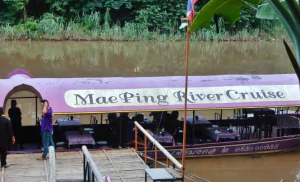 Круиз с ужином по реке Пинг в Чиангмае позволит вам насладиться живописным видом на реку Пинг и пережить несколько часов романтики.
