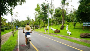 Велосипеды — дешевый и приятный способ осмотреть достопримечательности Чиангмая