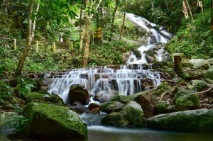 Водопад Мае Кампонг находится недалеко от горной деревни Мае Кампонг, примерно в 50 км к северу от Чиангмая.