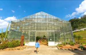 Ботанический сад королевы Сирикит — первый в своем роде в стране и популярное место, где вы найдете растения со всего мира.