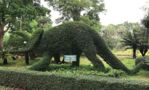 Ботанический сад Твичола — это захватывающая коллекция яркой зелени и растительности на элитном курорте с безупречной садовой архитектурой.